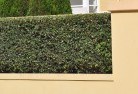 Hawthorn Westhard-landscaping-surfaces-8.jpg; ?>